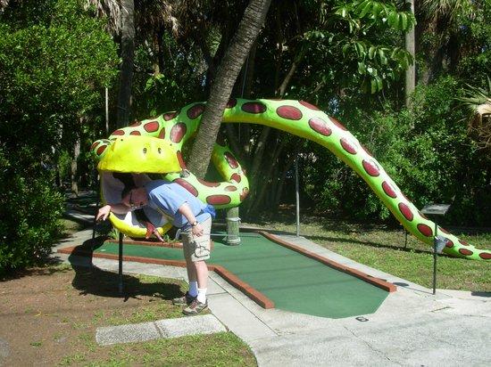 Polynesian Putter